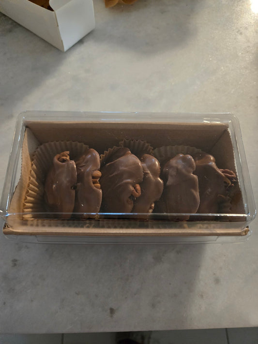 Chocolate Pecan Turtles